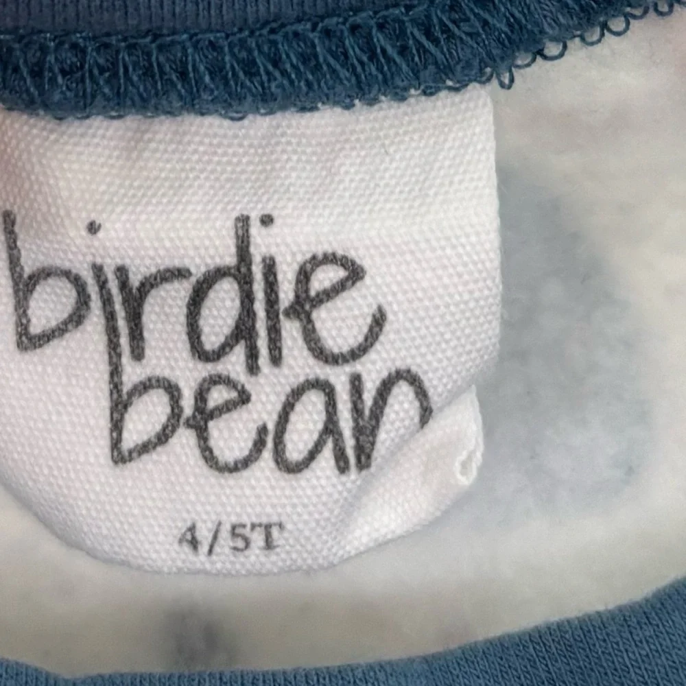 Toddler Boy Birdie Bean Fall Pumpkin Sweatshirt Outfit. Size 4T/5T. EUC.